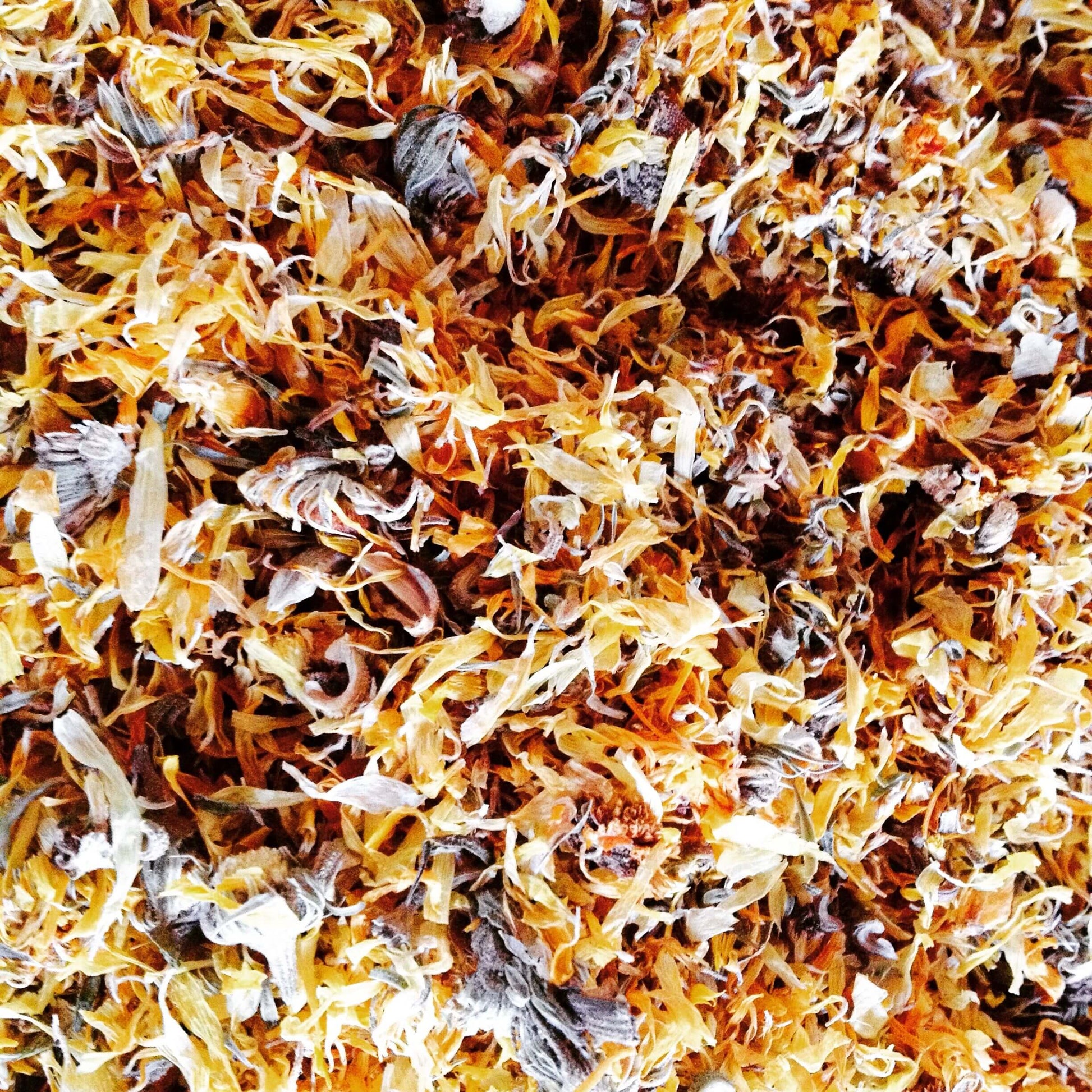 Soularoma Calendula oil