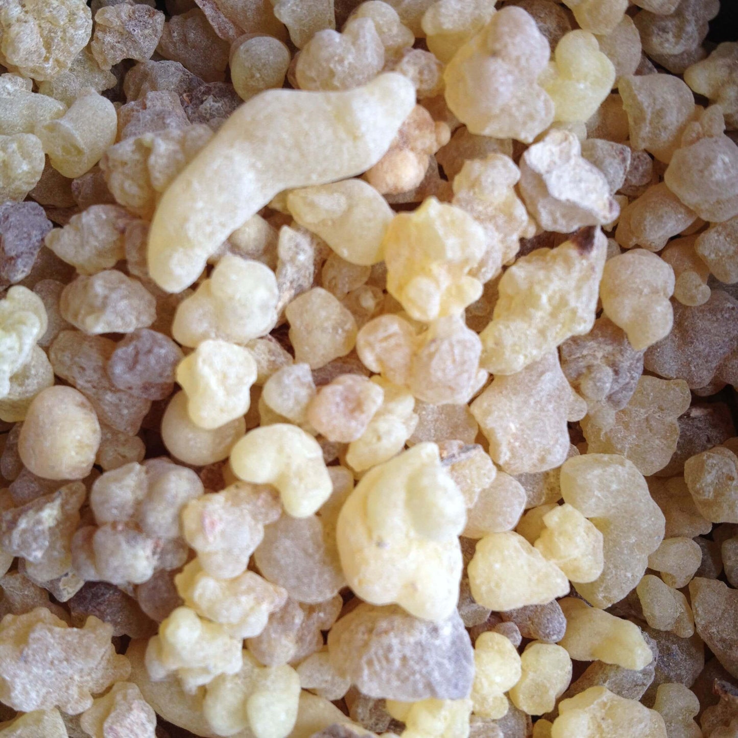 Soularoma Frankincense essential oil- organic