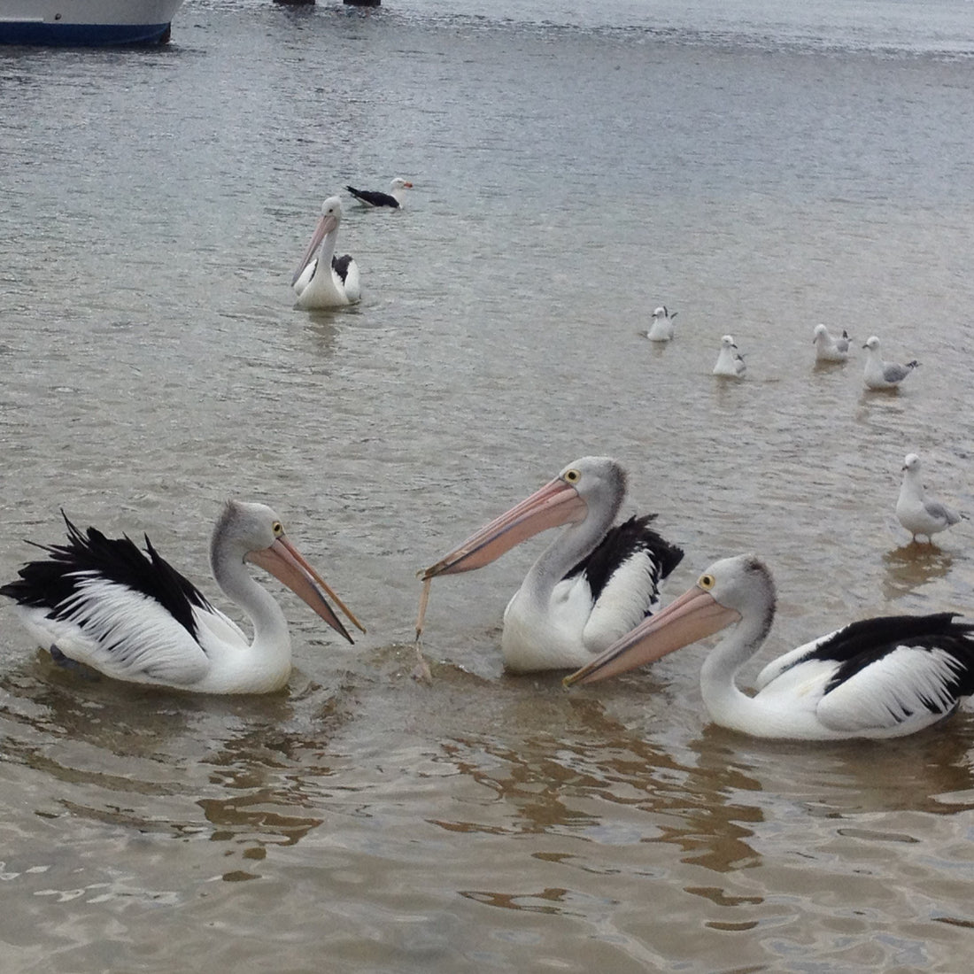 10 things you can do for our earth for Earth Hour