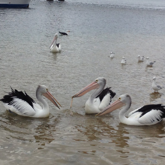 10 things you can do for our earth for Earth Hour