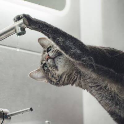 16 ways you can save water