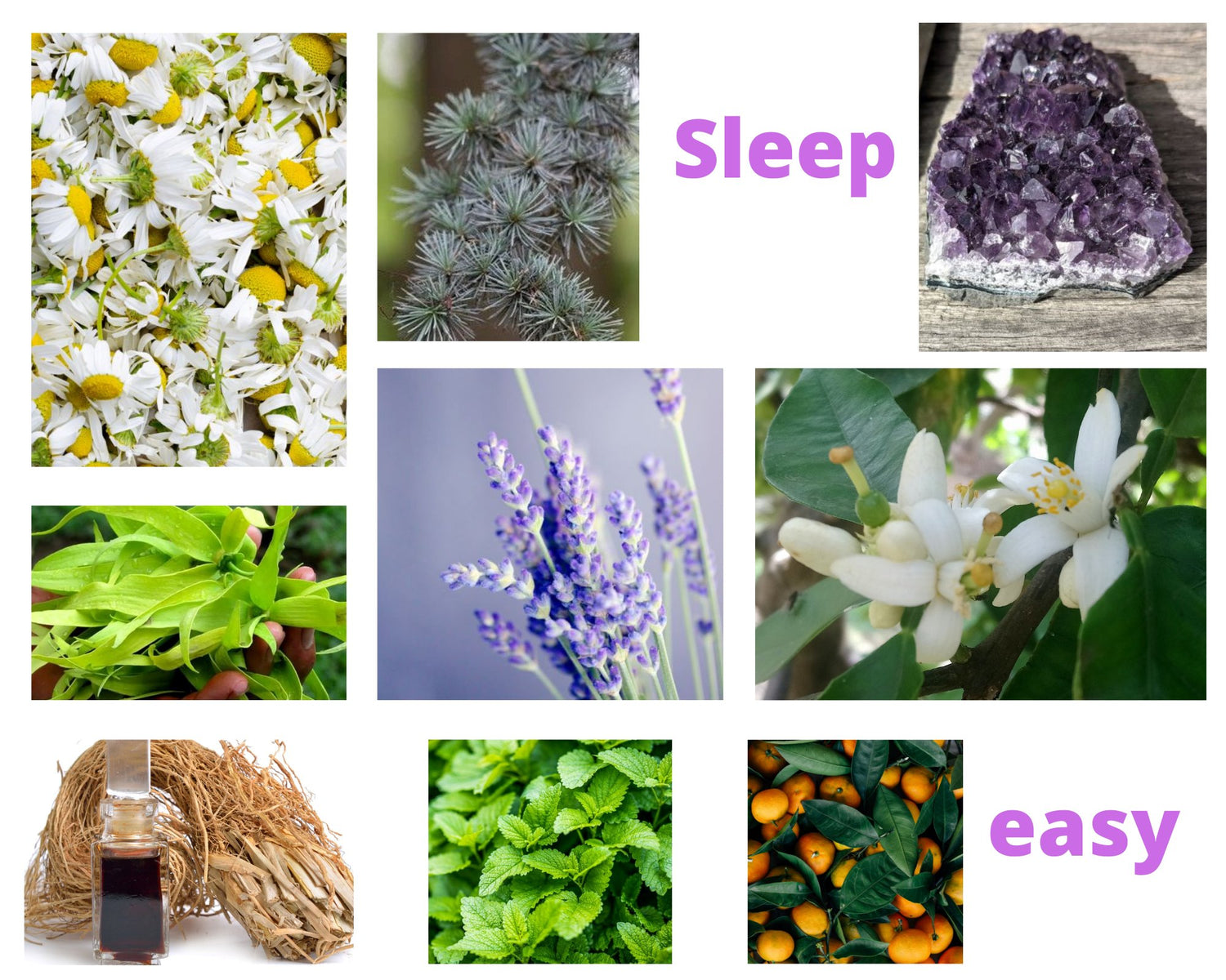 Sleep easy
