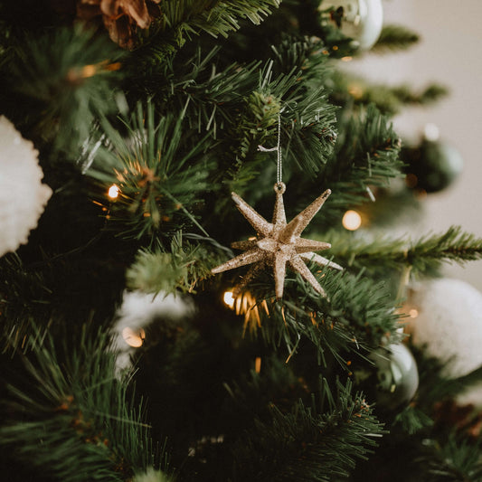 Christmas festive season essential oil blend