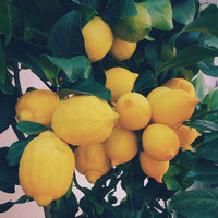 Soularoma Lemon essential oil- organic