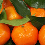 Soularoma Mandarin essential oil