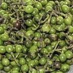 Soularoma May chang essential oil