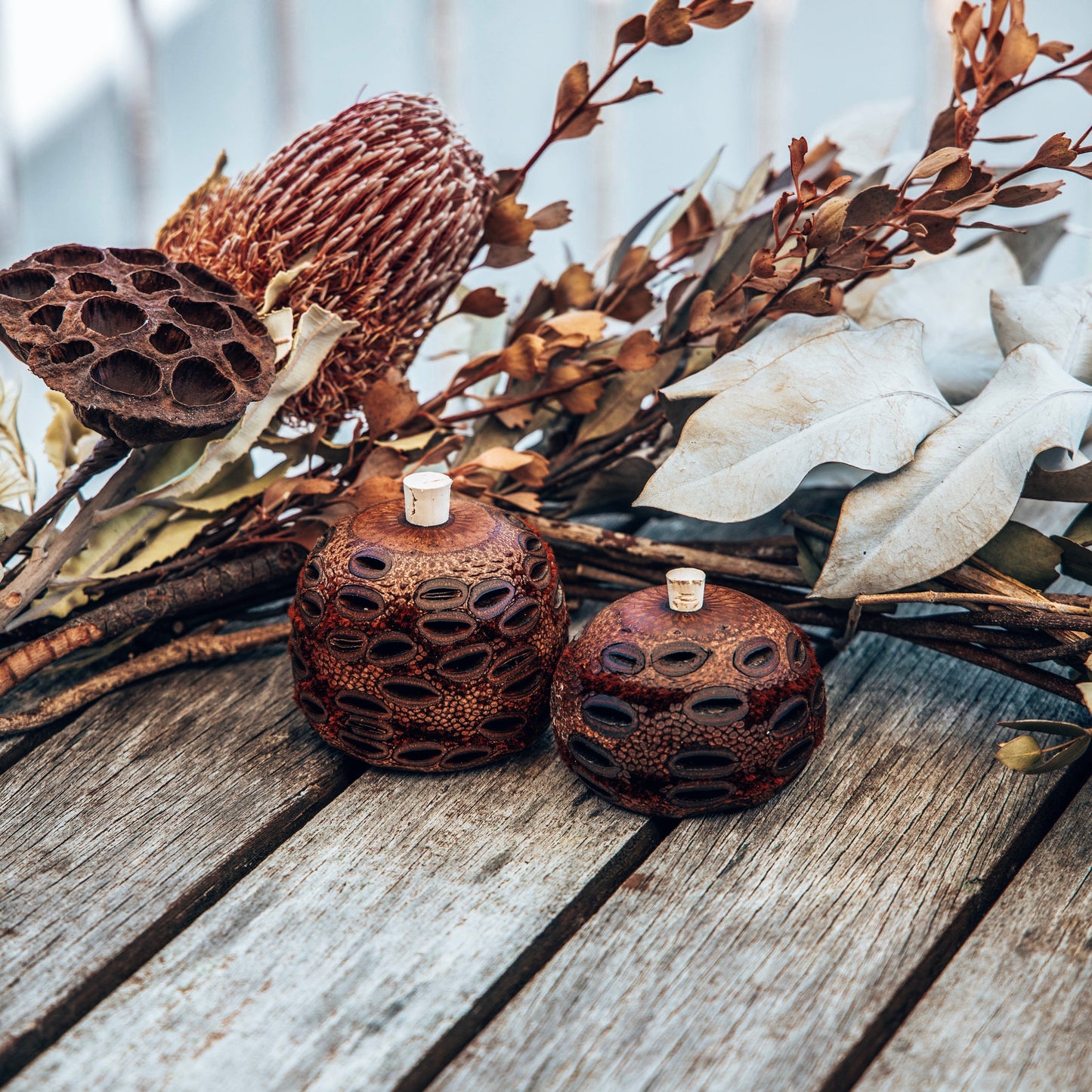 Natural essential oil diffuser-banksia pod essential oils Soularoma 