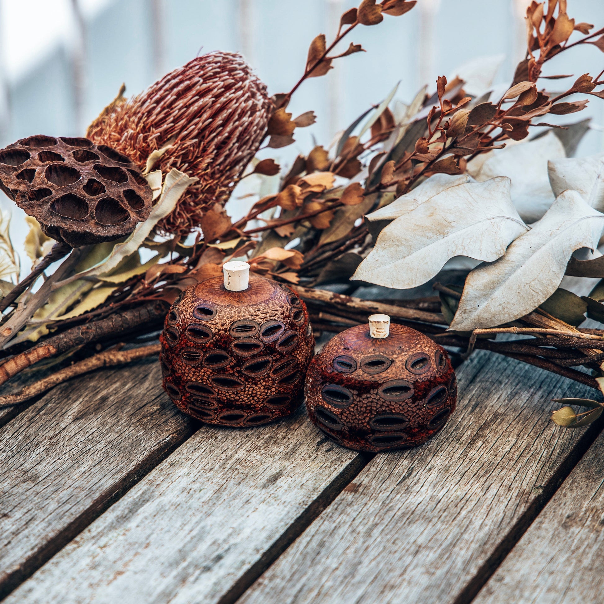 Natural essential oil diffuser-banksia pod essential oils Soularoma 