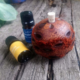 natural essential oil diffuser banksia seed pod